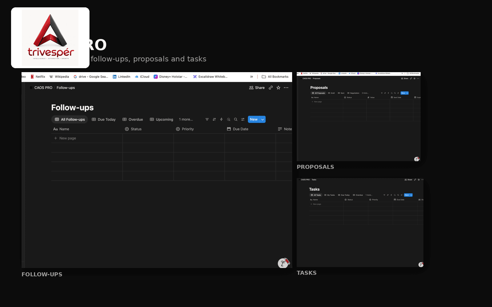 CAOS Pro: Execution